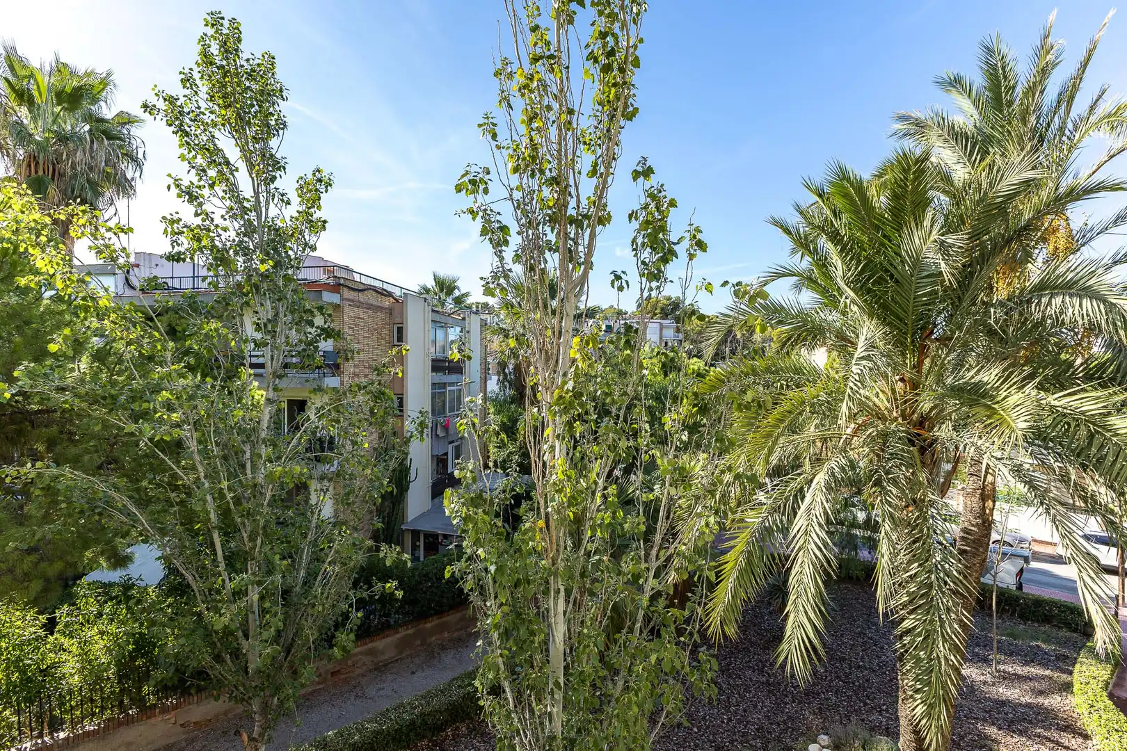 Piso con terraza en venta en Vallpineda - Rocamar, imagen 21