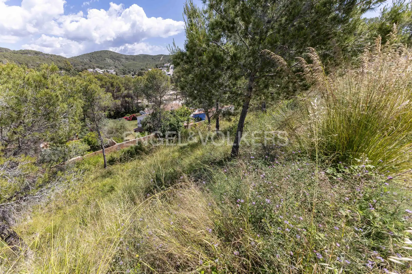 Residential land for sale in Mas Alba, imagen 18