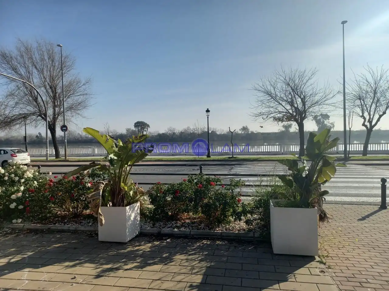 Außenansicht von Residential zum Verkauf in Coria del Río