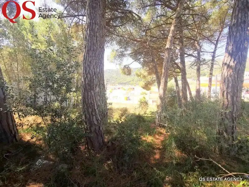 Wohnbaugrundstück zum Verkauf in Riells, imagen 4
