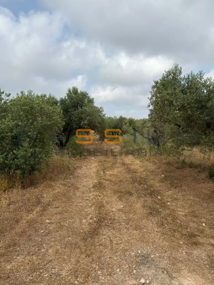 Rustikales Grundstück zum Verkauf in Partida Planes 1, imagen 10