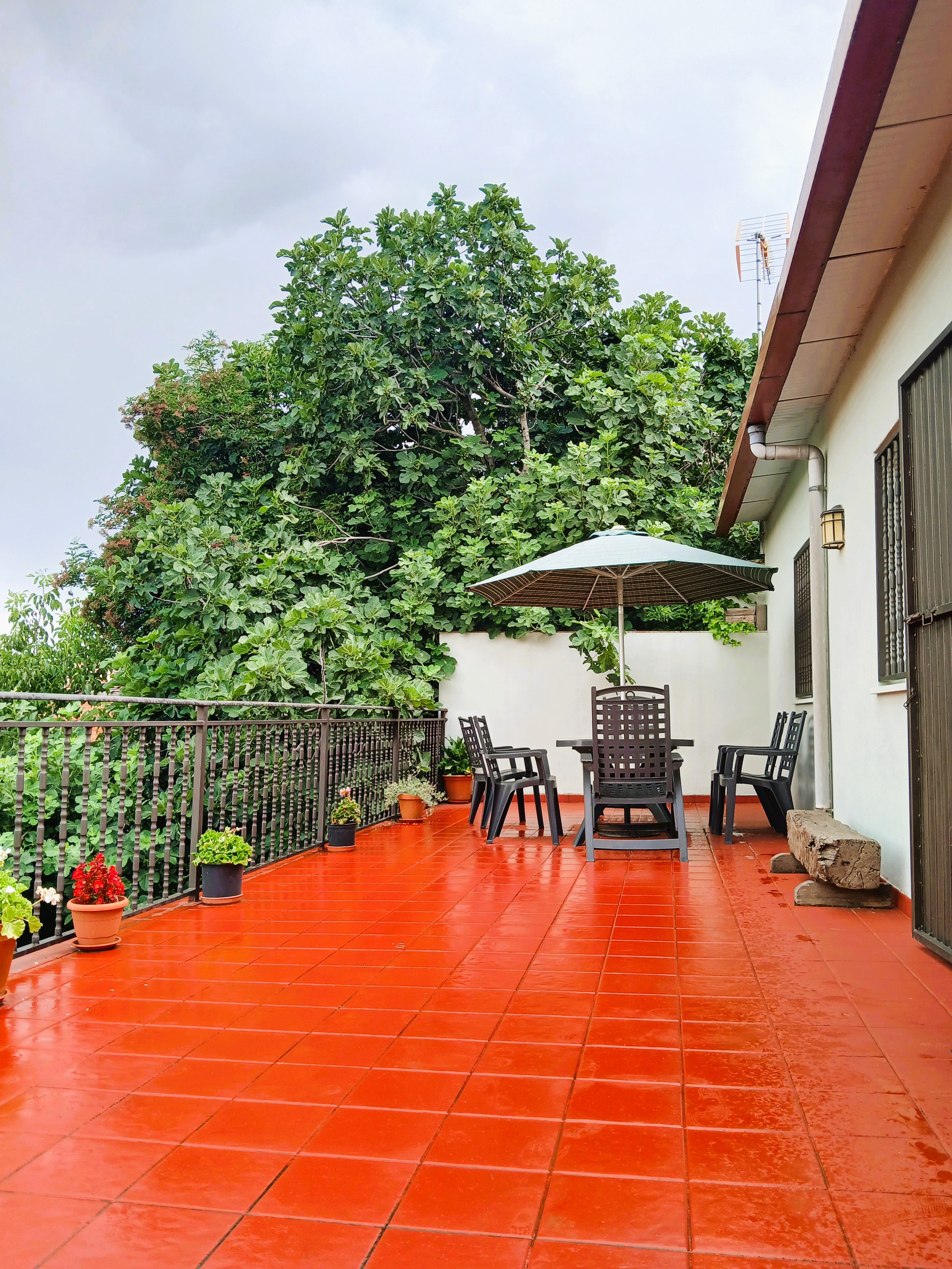 Terrace of House or chalet for sale in Villaverde de Rioja