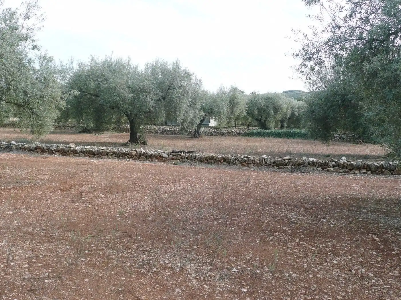 Casa rústica en venta en Ulldecona, imagen 12