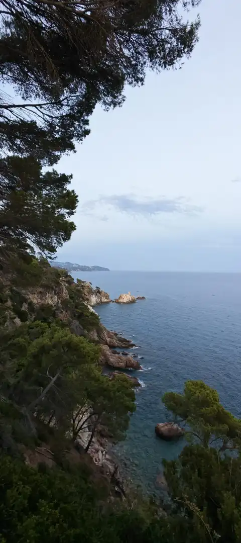 Terrenos y solares en venta en Lloret Residencial - Montlloret, imagen 4