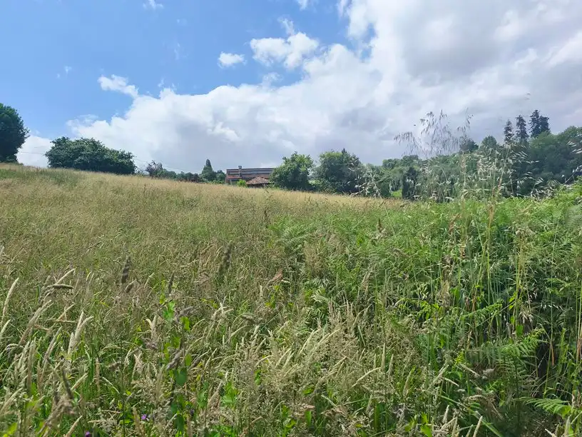 Terreno residenziale in vendita a Parroquias Sur - La Manjoya, imagen 10