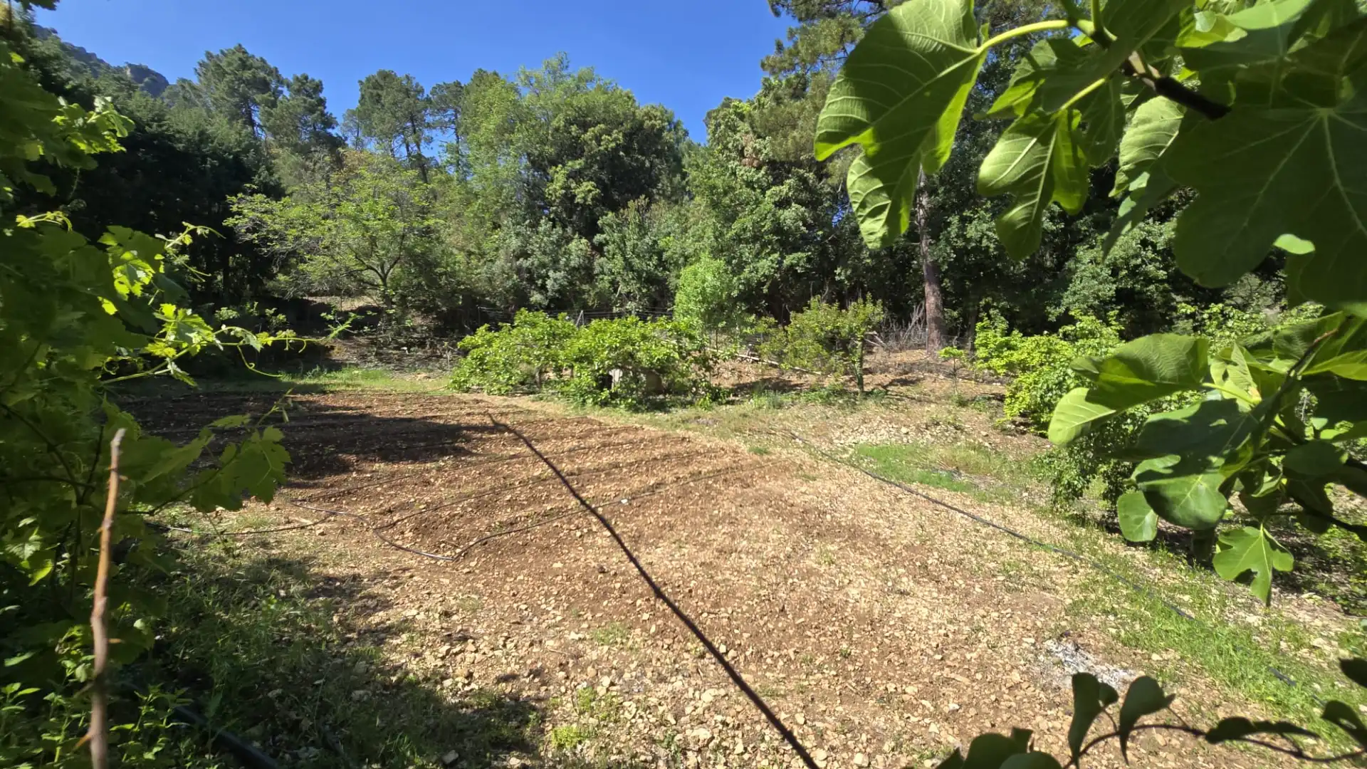 Finca rústica en venta en Villanueva del Arzobispo con Calefacción, Trastero y Piscina
