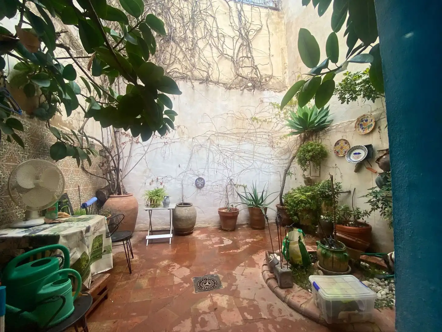 Casa rústica amb jardí en venda a La Nucia Pueblo, imagen 6