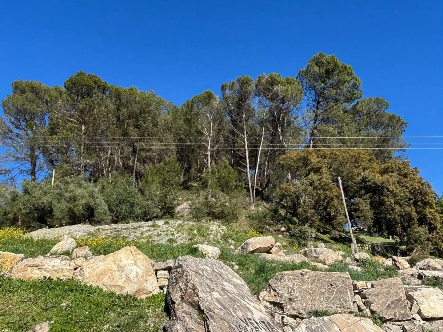 Terrain rustique à vendre à Loja, imagen 2