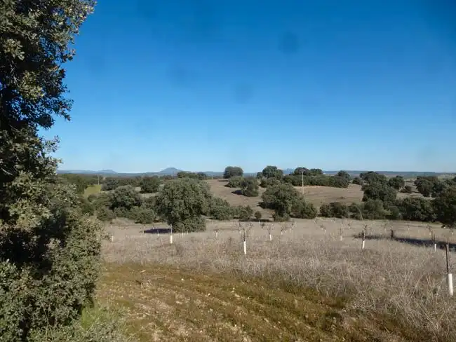 Rural land for sale in Paredes de Escalona, imagen 3