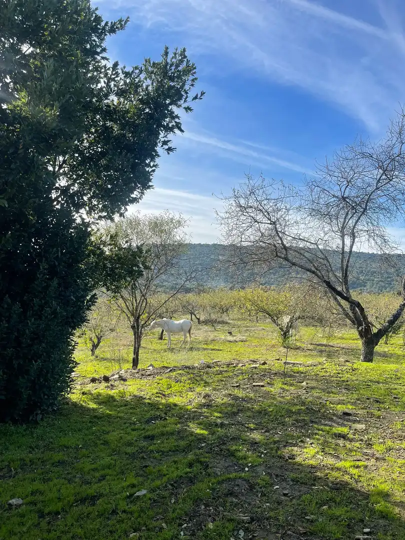 Casa o chalet en venta en Plasencia con Jardín privado y Amueblado