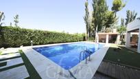 Schwimmbecken von Haus oder Chalet zum verkauf in Argamasilla de Alba mit Schwimmbad