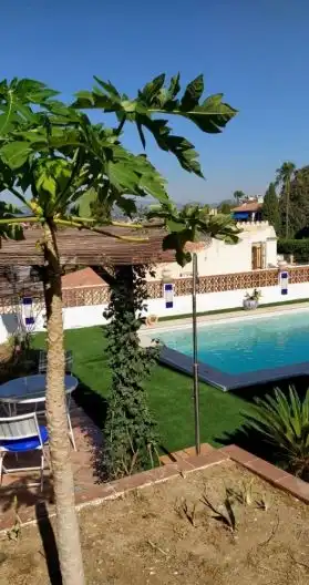 Schwimmbecken von Einfamilien-Reihenhaus zur Miete in Vélez-Málaga mit Terrasse und Schwimmbad