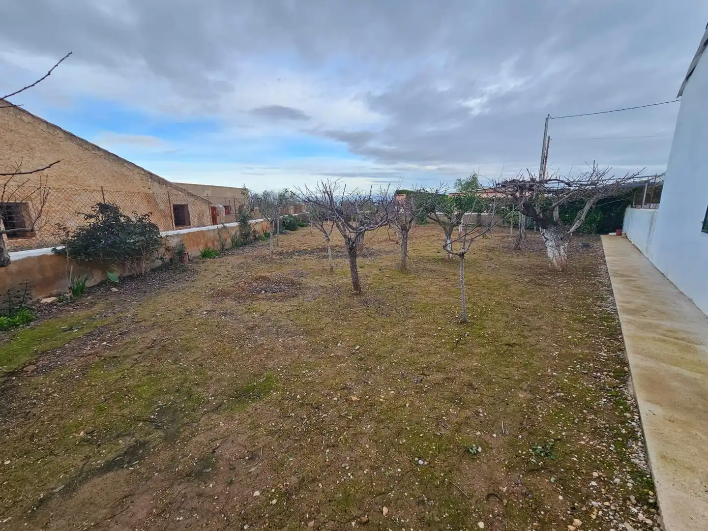 Premises for sale in Fuente Álamo de Murcia