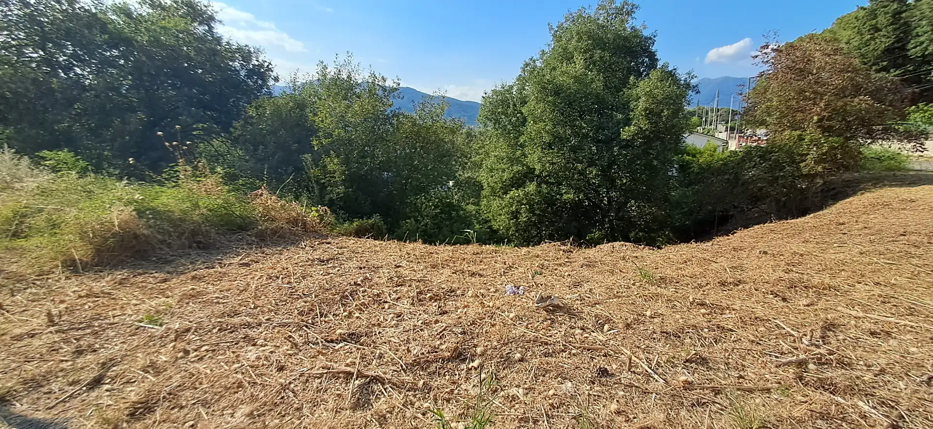 Residential land for sale in Carrer Pi Gros, imagen 8