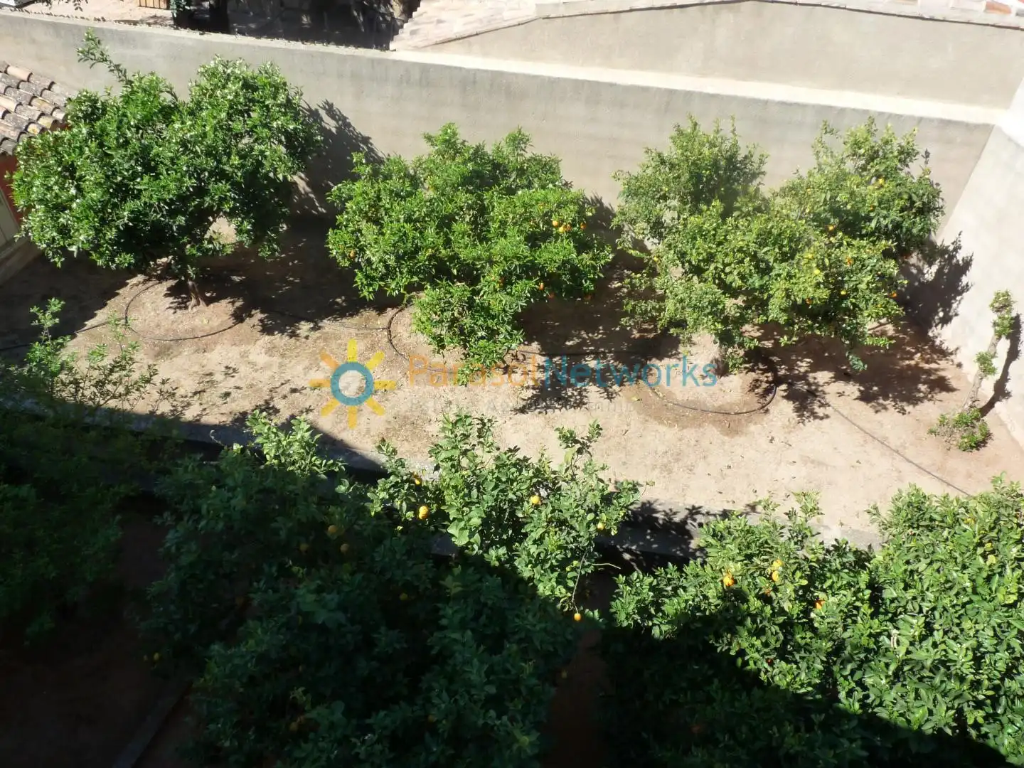 Xalet amb jardí de lloguer a La Font d'en Carròs, imagen 68
