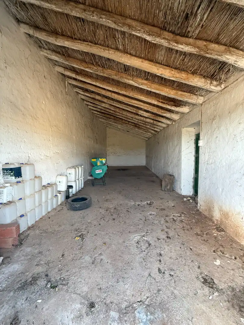 Terreno rustico in vendita a Calle Diseminado, imagen 18