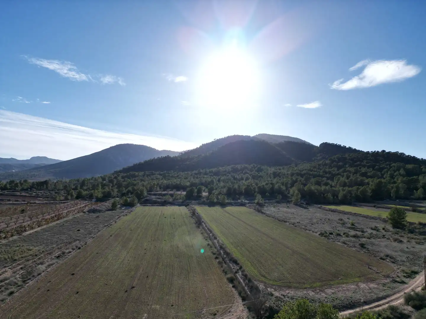 Terreny residencial en venda a Monóvar  / Monòver, imagen 6