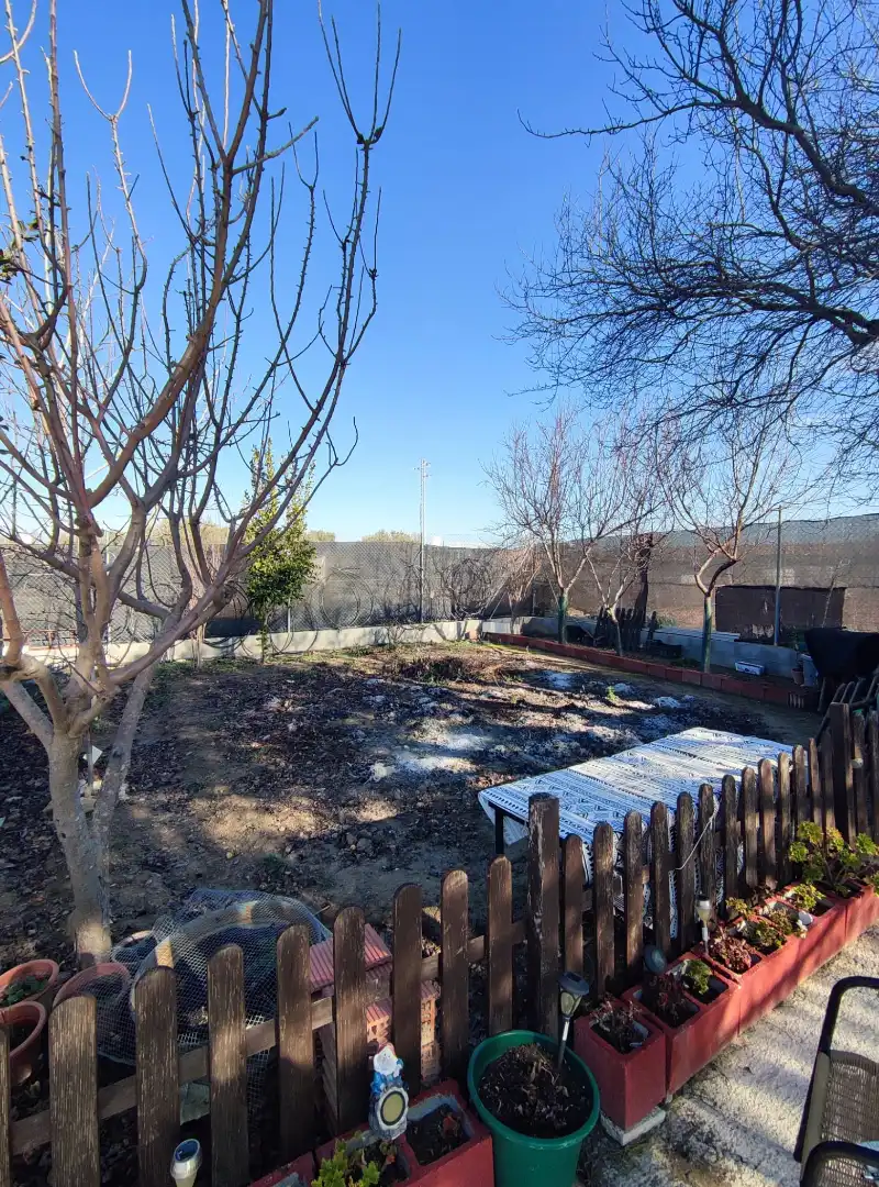 Jardín de Casa o chalet en venta en Torreperogil con Aire acondicionado, Calefacción y Jardín privado