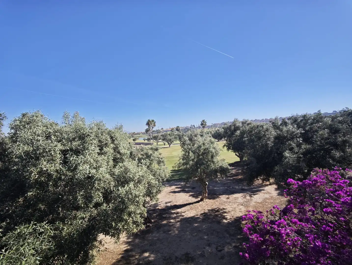 Maison à vendre à Algorfa, imagen 34