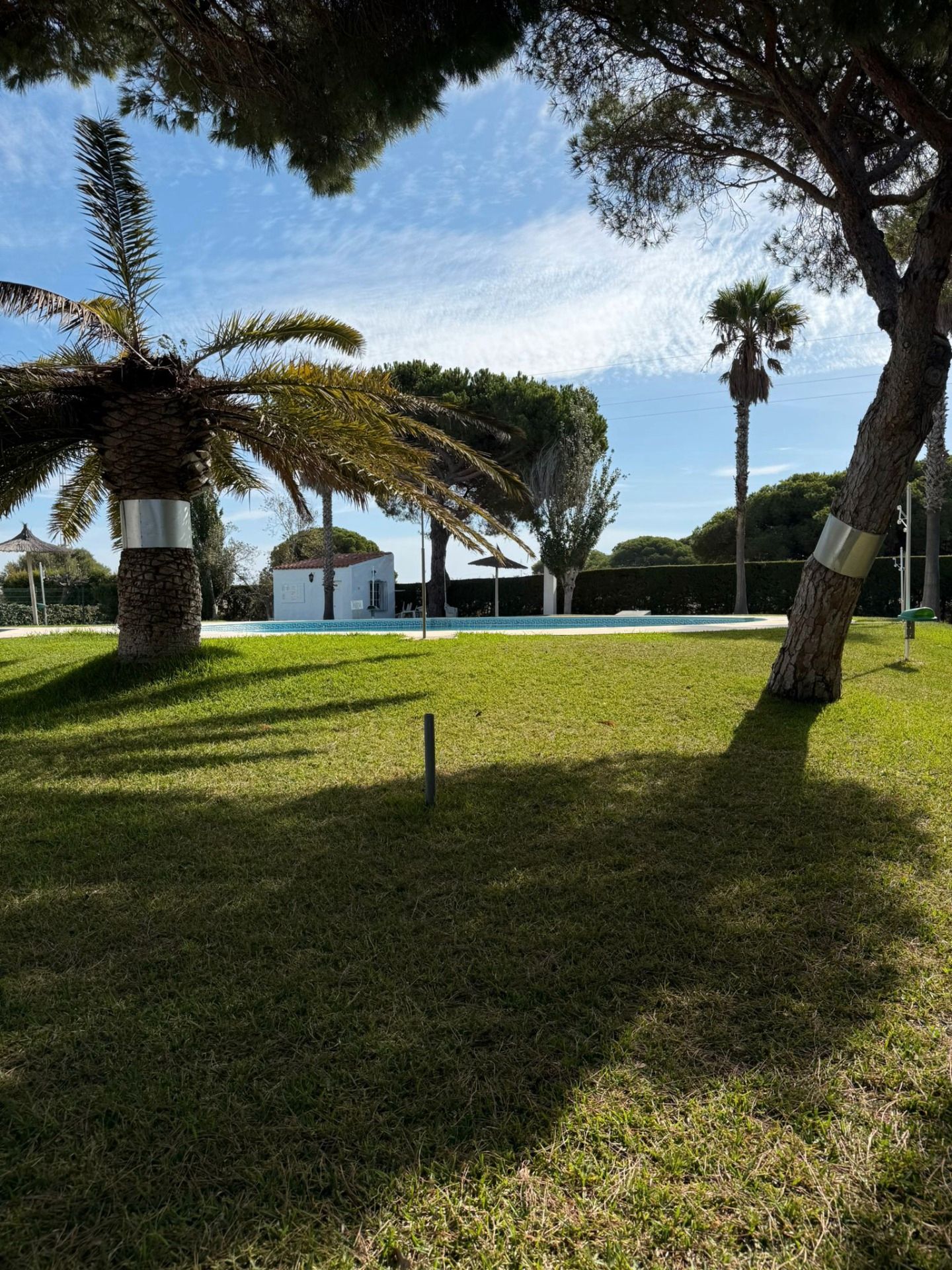 Jardí de Casa adosada en venda en Chiclana de la Frontera