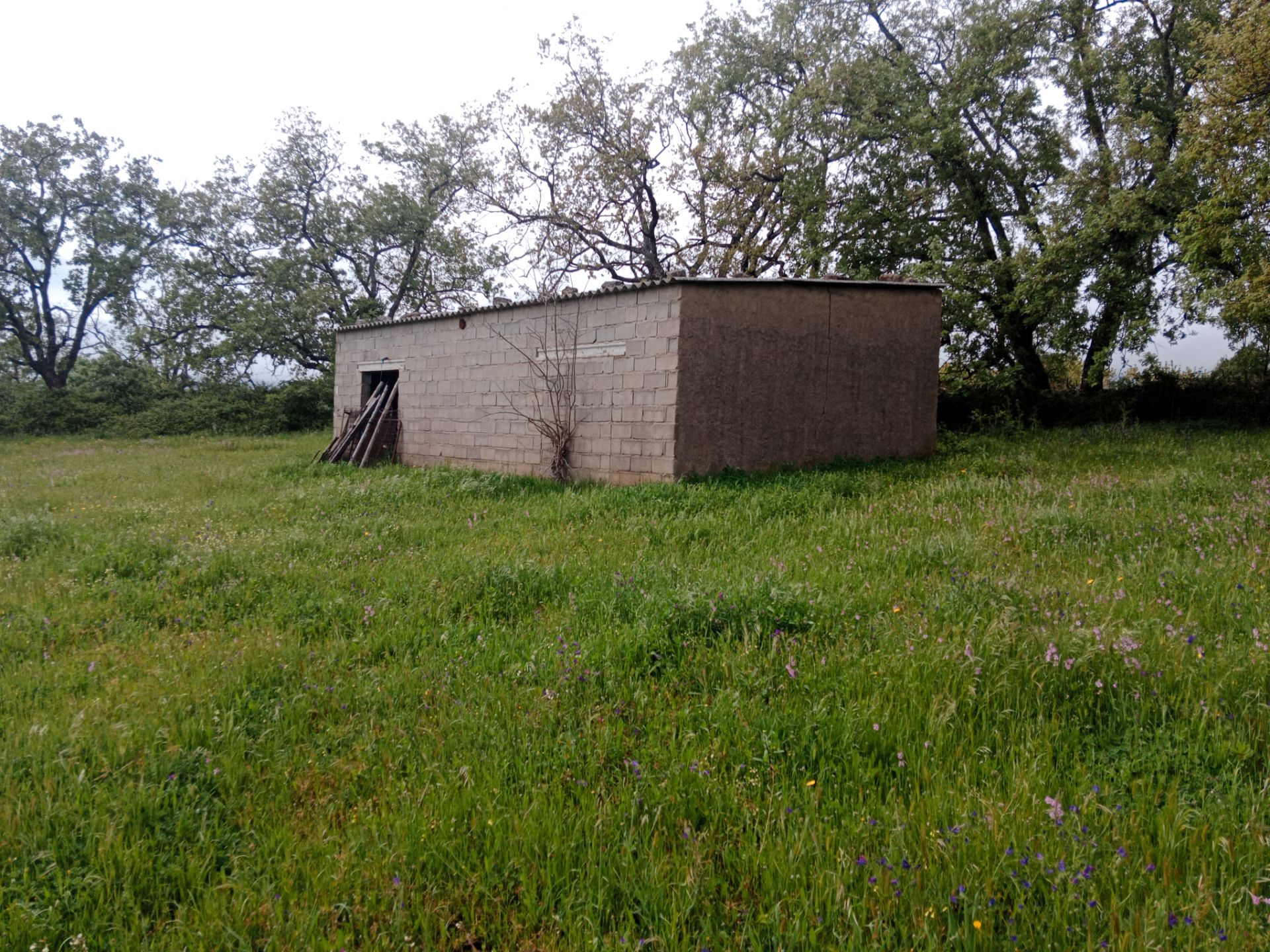 Außenansicht von Grundstücke zum verkauf in Arroyomolinos de la Vera