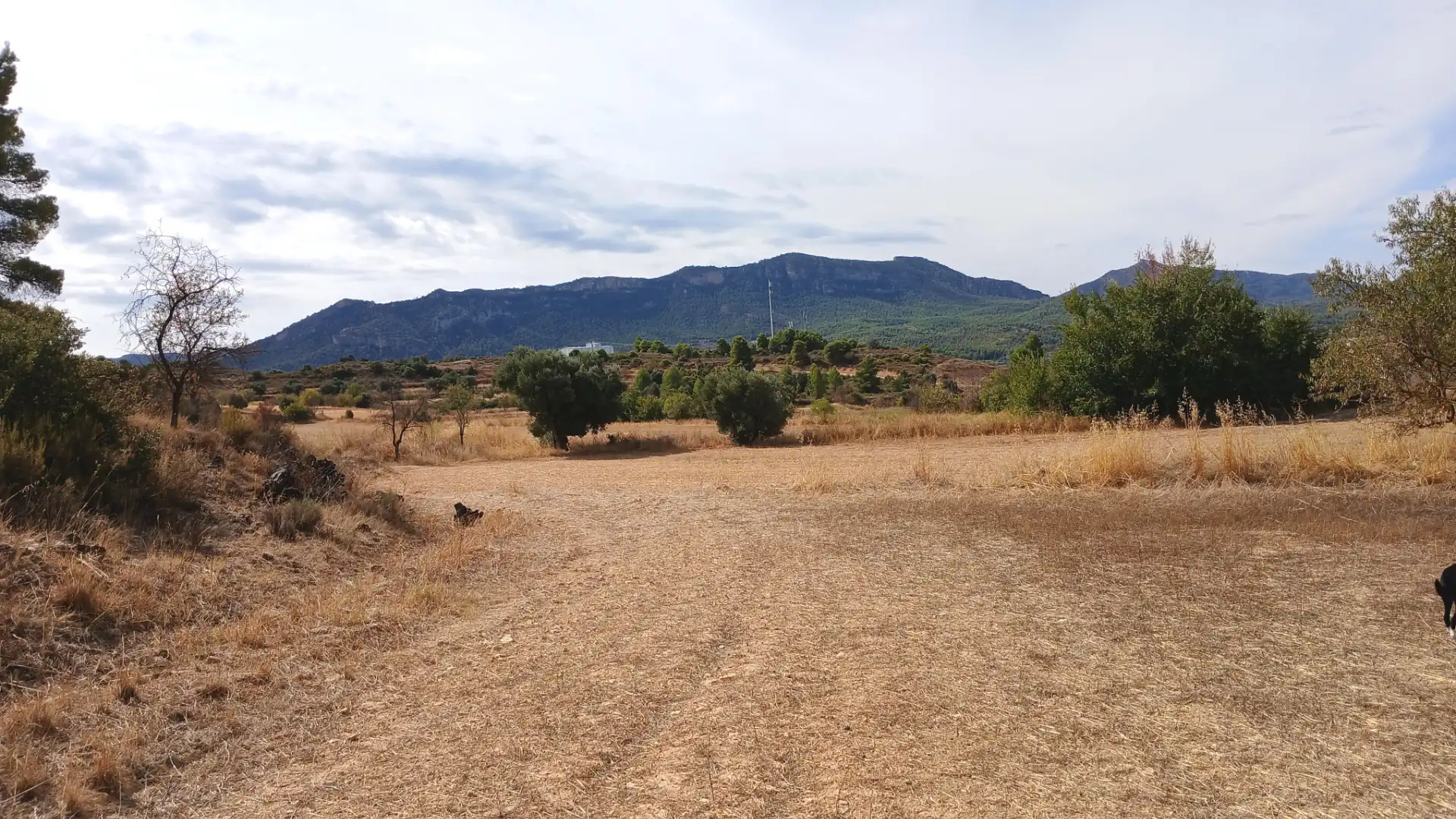 Rustikales Grundstück zum Verkauf in Carretera Tortosa 3, imagen 2