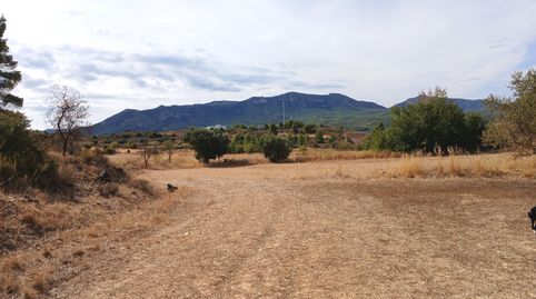 Valderrobres-Finca cerca del pueblo con vistas, immagine 2