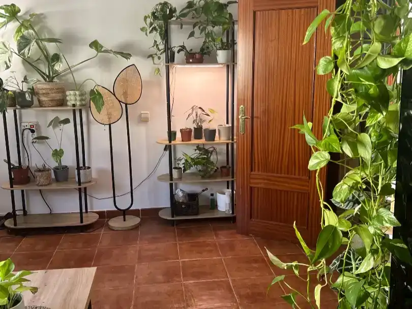 Casa o xalet en venda en Cogolludo amb Jardí privat i Traster