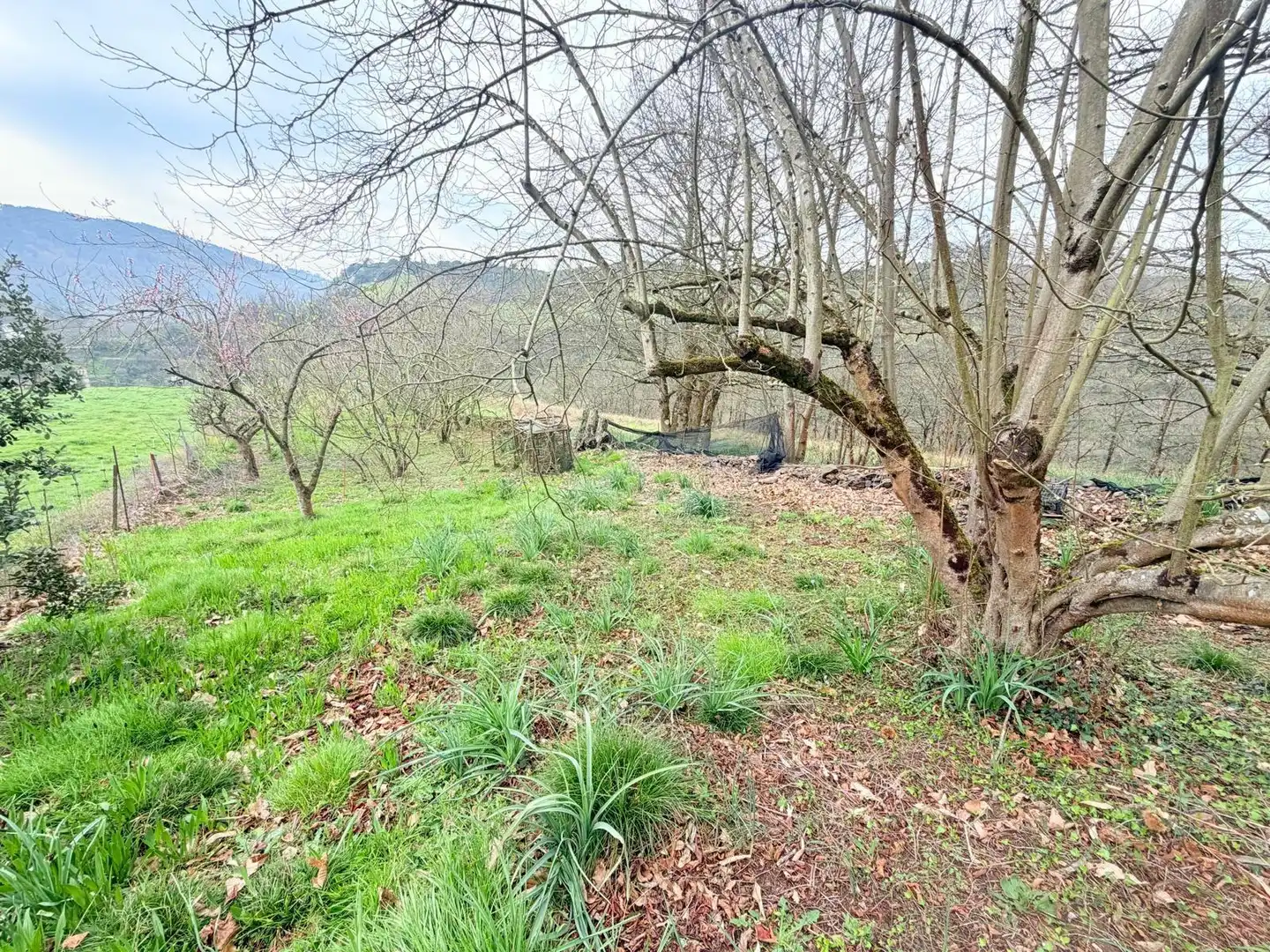 Casa o xalet en venda en Las Regueras  