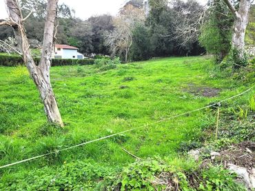 Terreni e lotti in vendita a Posada - Barro