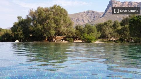 Photo 3 of Apartment to share in Artà Poble, Illes Balears