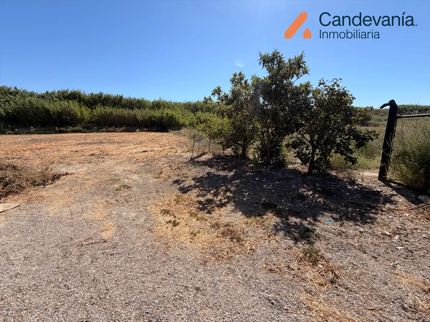 Rural land for sale in Zuera, imagen 5
