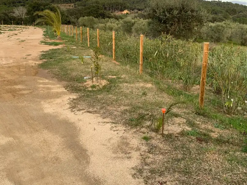 Terrain rustique à vendre à C/del llop parcela 10, imagen 10