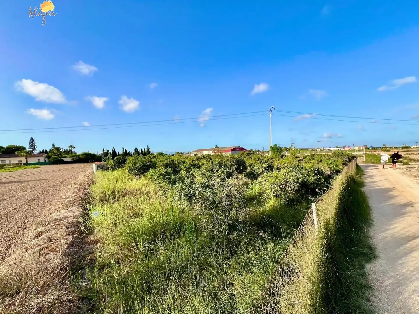 Casa o xalet en venda en Daya Vieja amb Aire condicionat, Calefacció i Jardí privat