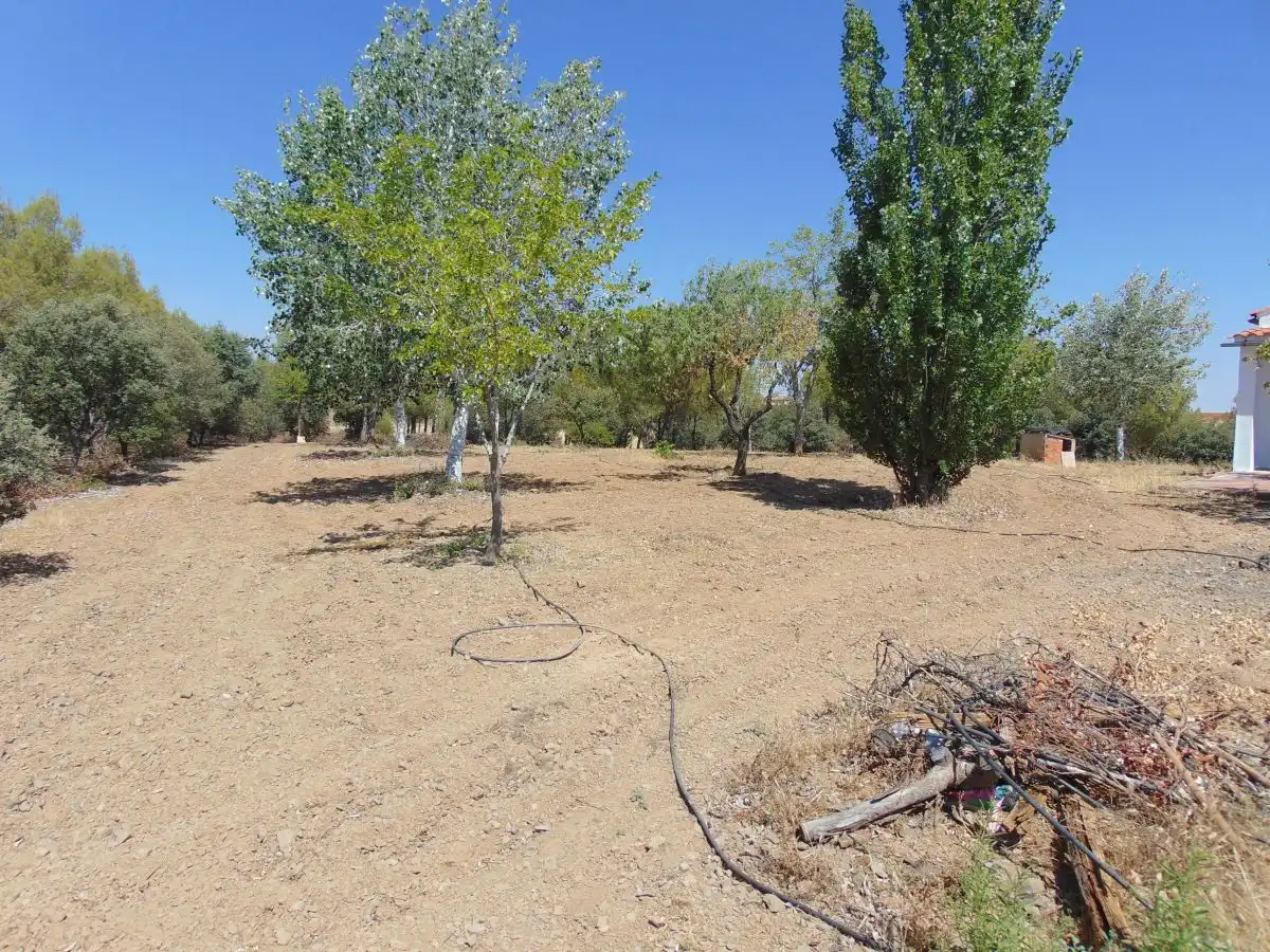 Chalet en venta en Santa Cruz de Mudela, imagen 9