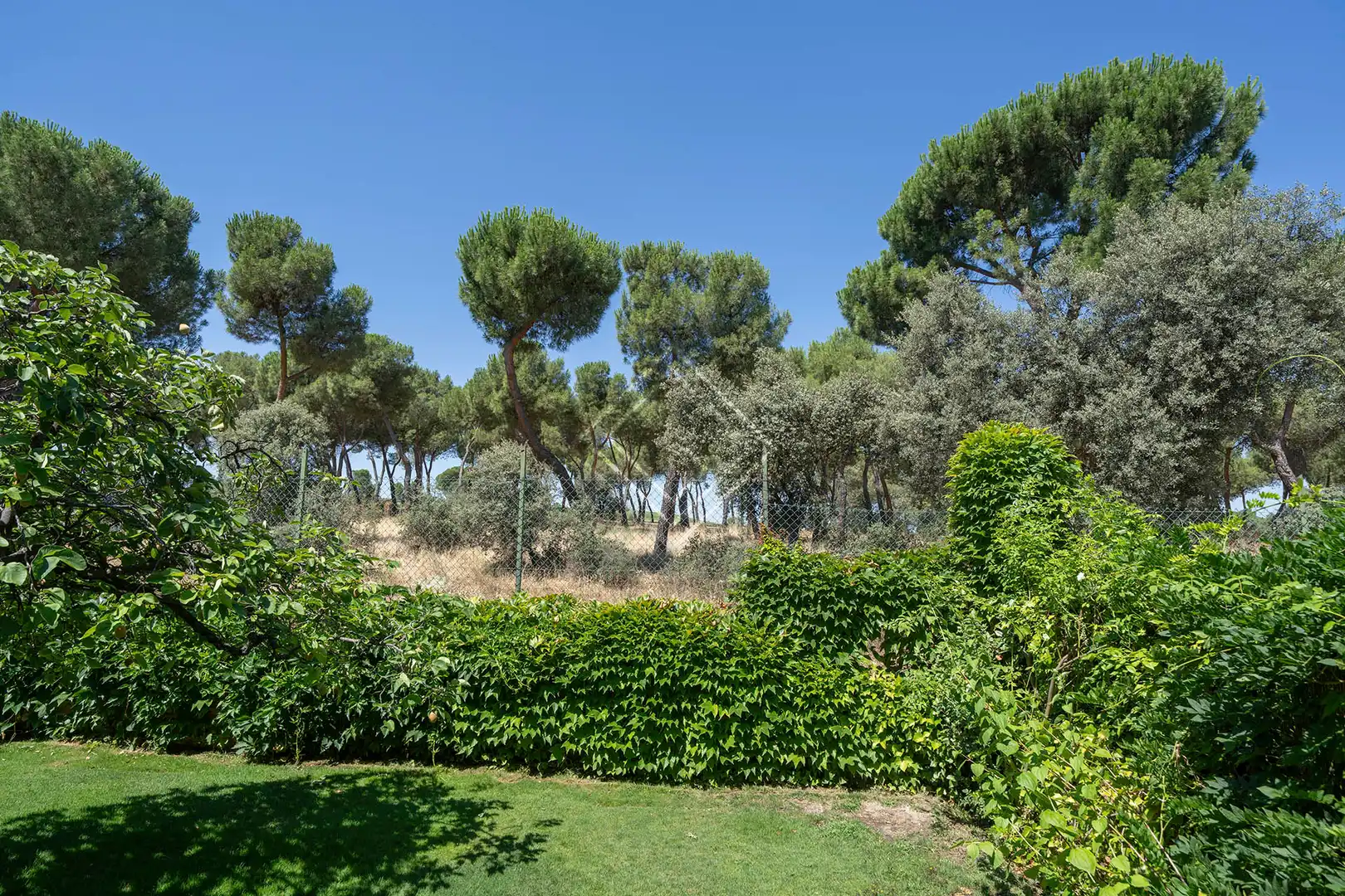Detached house with pool for sale in Moncloa - Aravaca, imagen 10