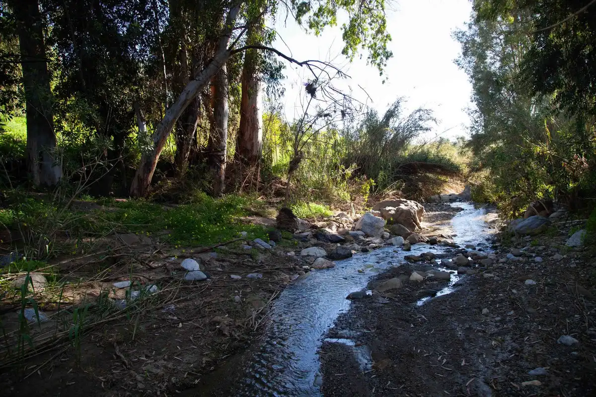 Casa rústica amb piscina en venda a Casarabonela, imagen 15