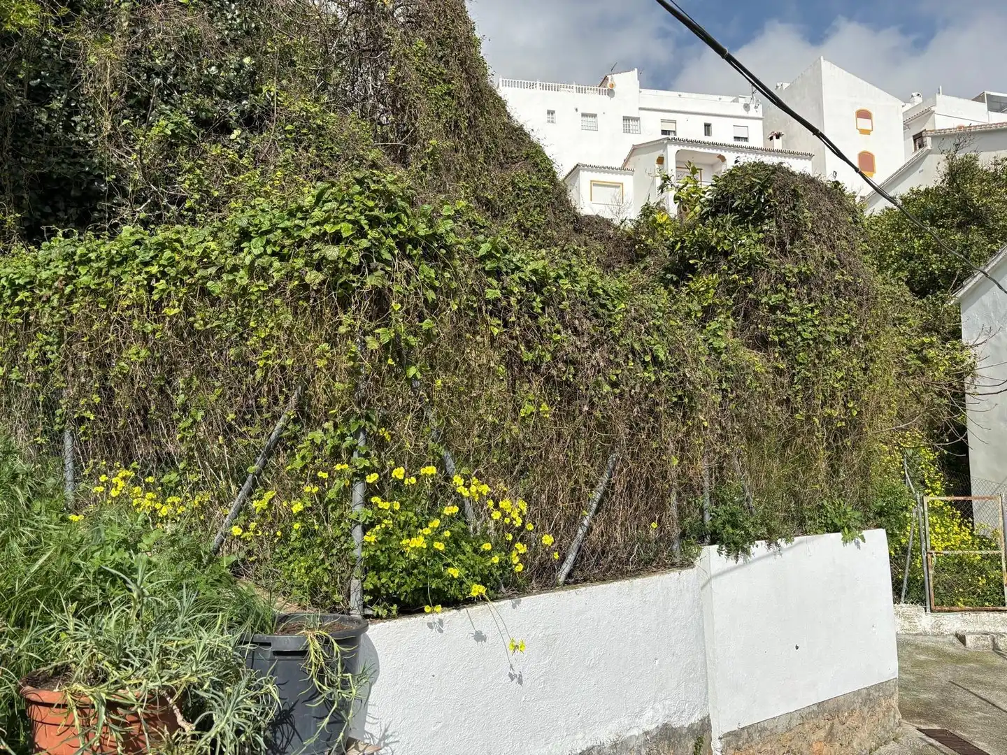 Casa rústica en venda a Casarabonela, imagen 7