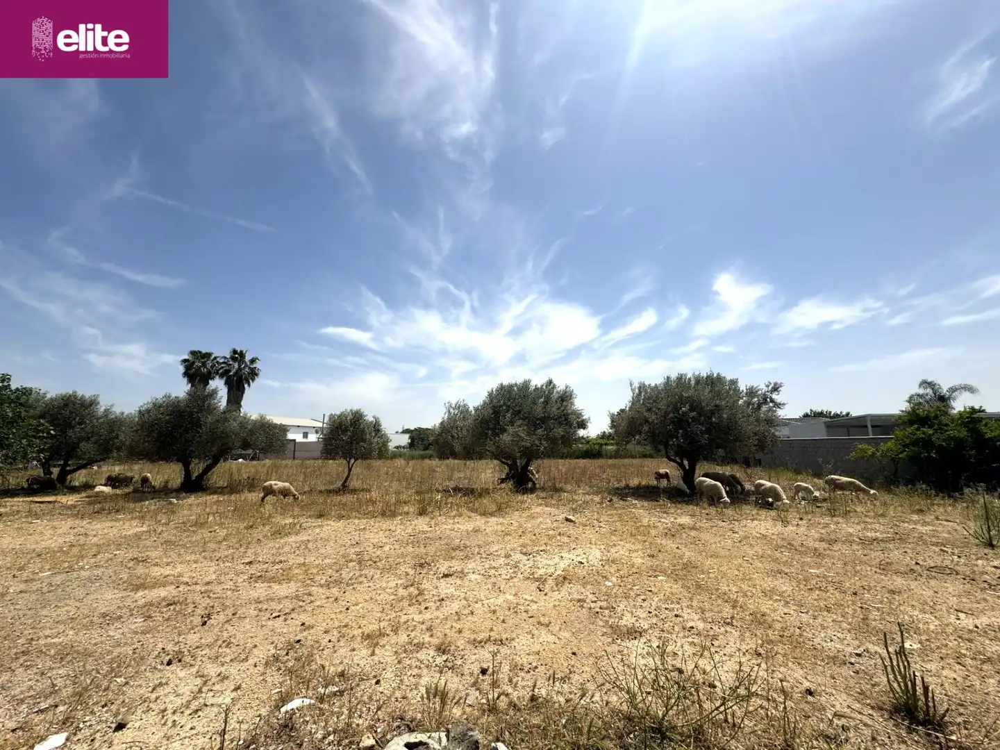 Residencial en venda en Jerez de la Frontera