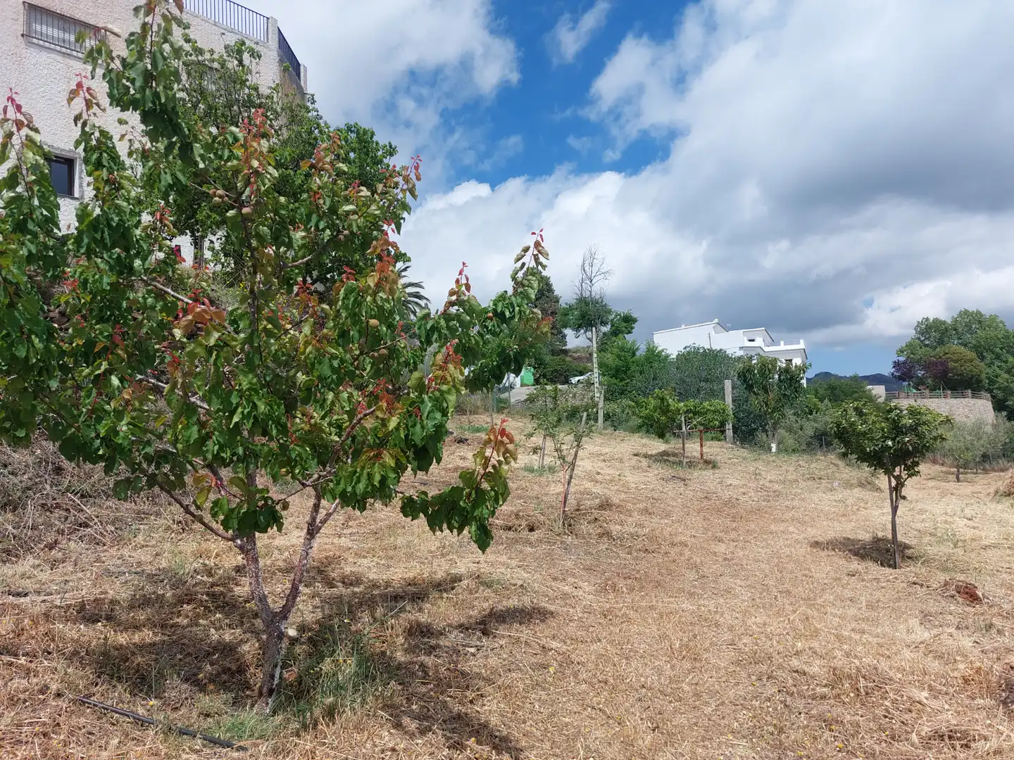 Land for sale in Pórtugos
