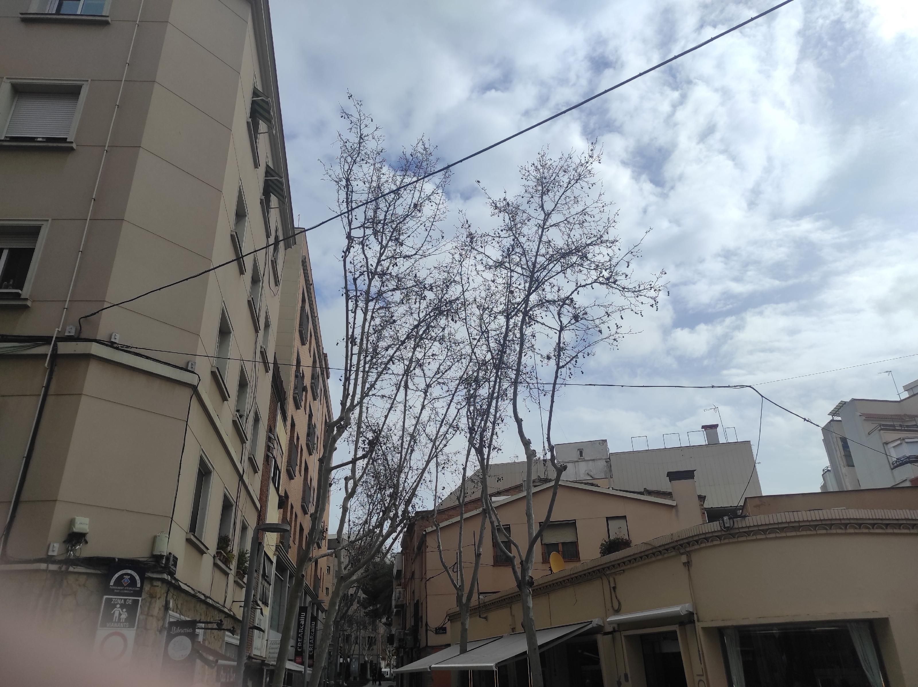 Local de lloguer a El Centre, Esplugues de Llobregat