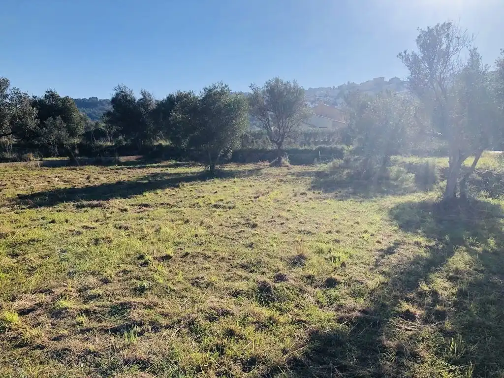Terreny rústic en venda a Orba, imagen 5
