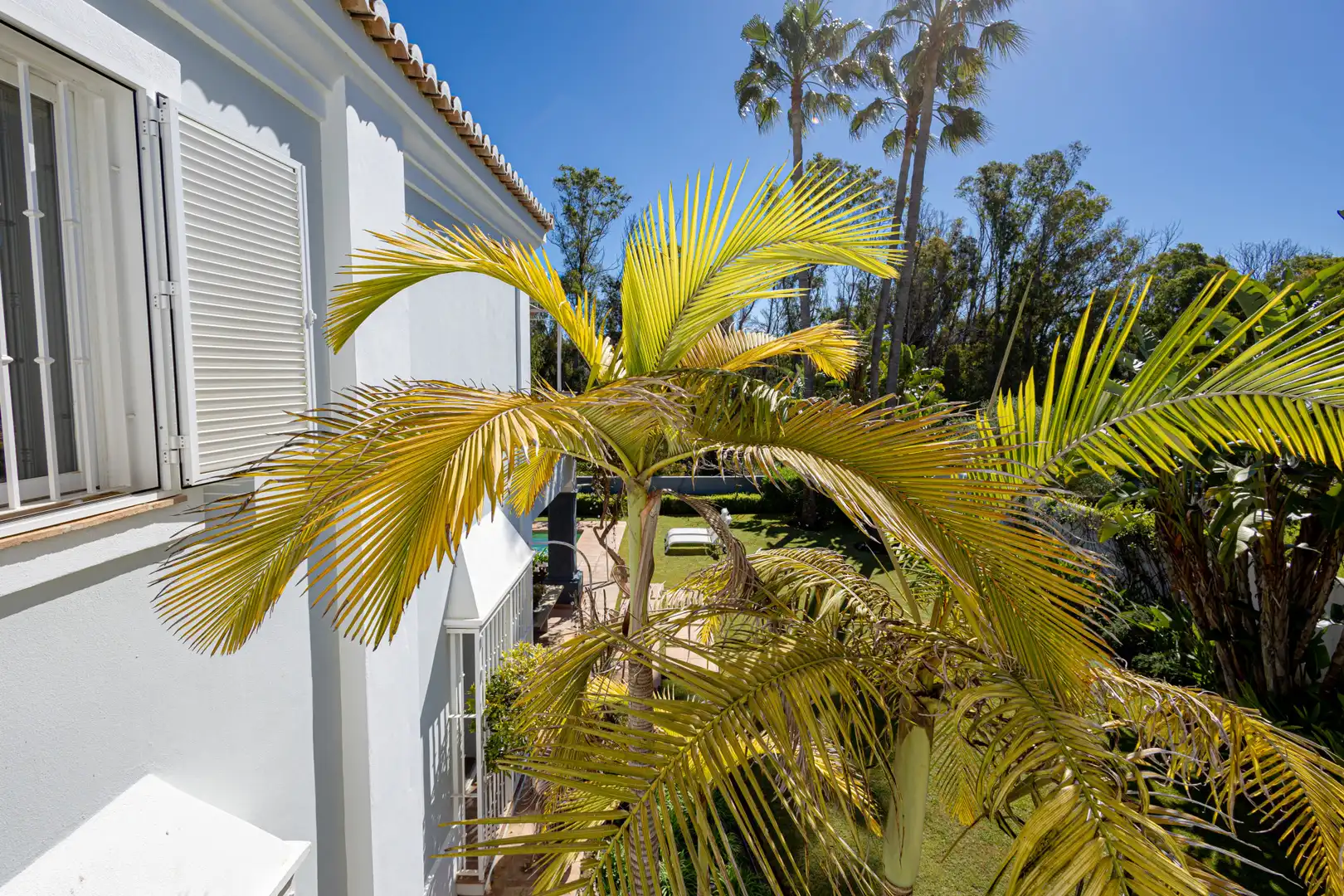 Jardín de Casa o chalet de alquiler en Estepona con Jardín privado, Terraza y Piscina