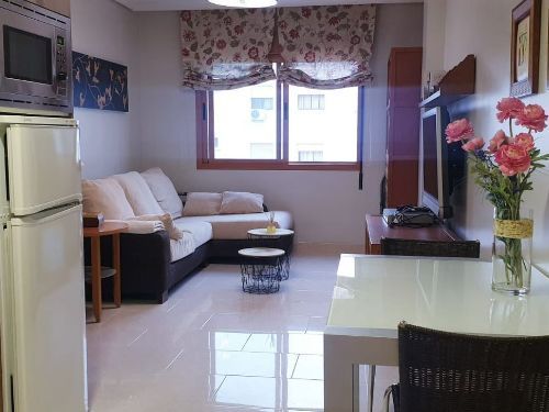 Sala d'estar de Pis de lloguer en Ciudad Real Capital amb Calefacció i Moblat