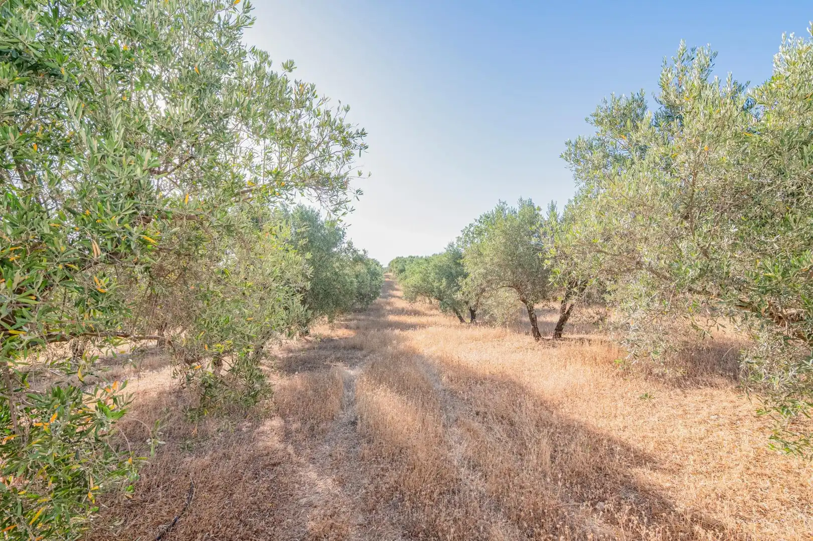 Apartments for sale in Santa Fe