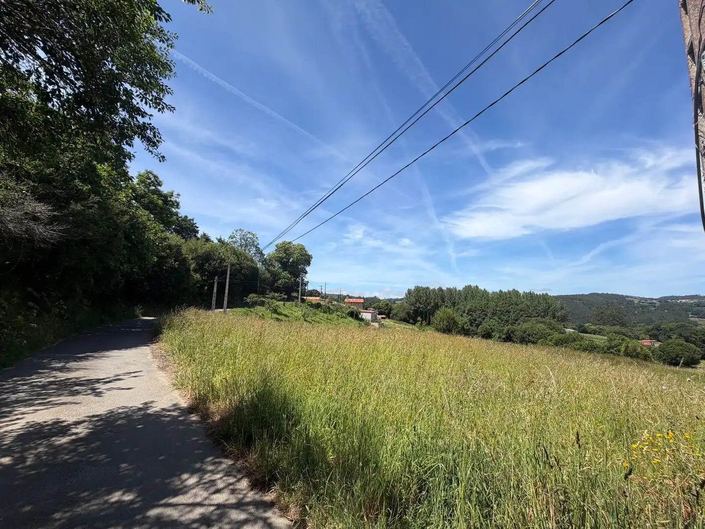Terreni e lotti in vendita a LEIRA NOVA, imagen 2