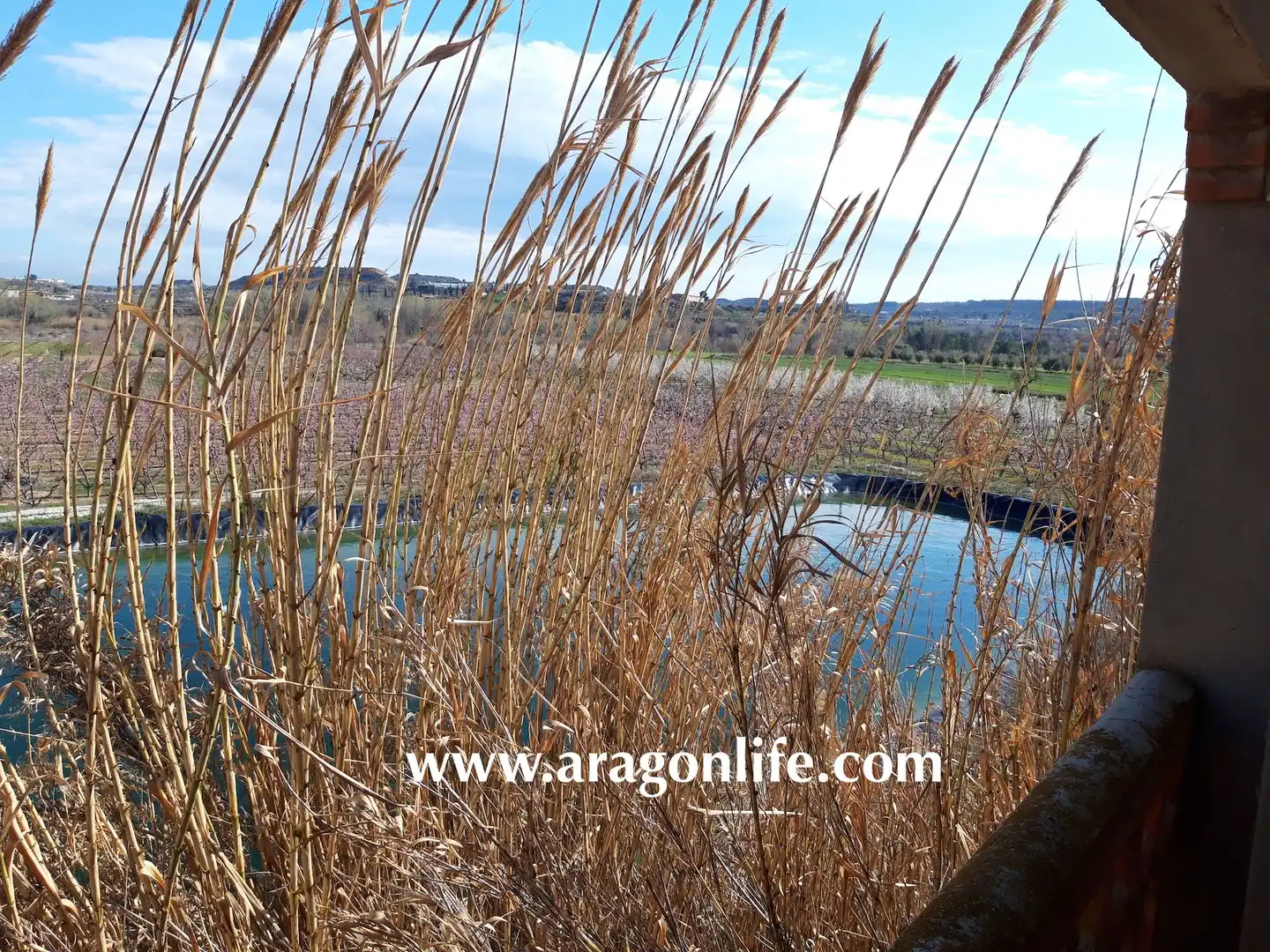 Casa o chalet en venta en Fabara