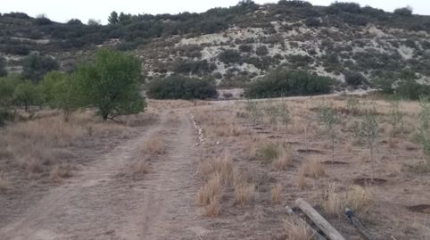Terreno fin de semana , immagine 2