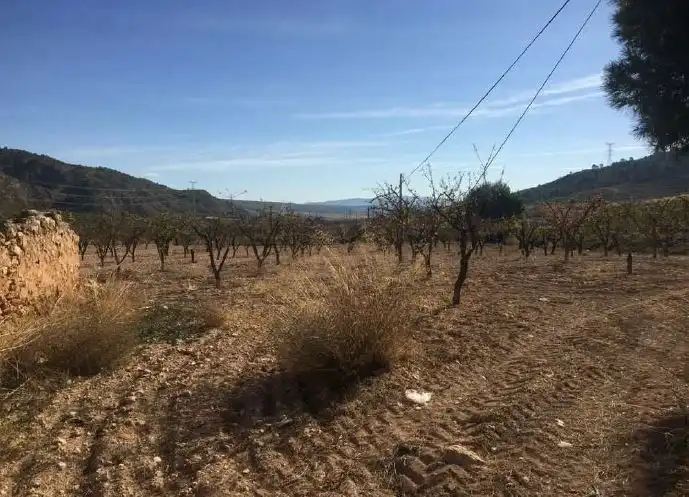 Terreny industrial en venda en Jumilla