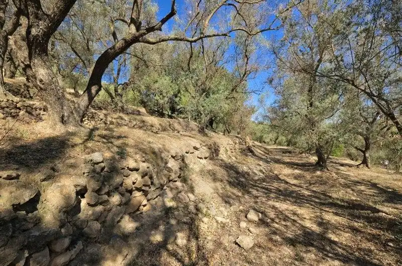 Terreno rustico in vendita a El Pinar, imagen 14